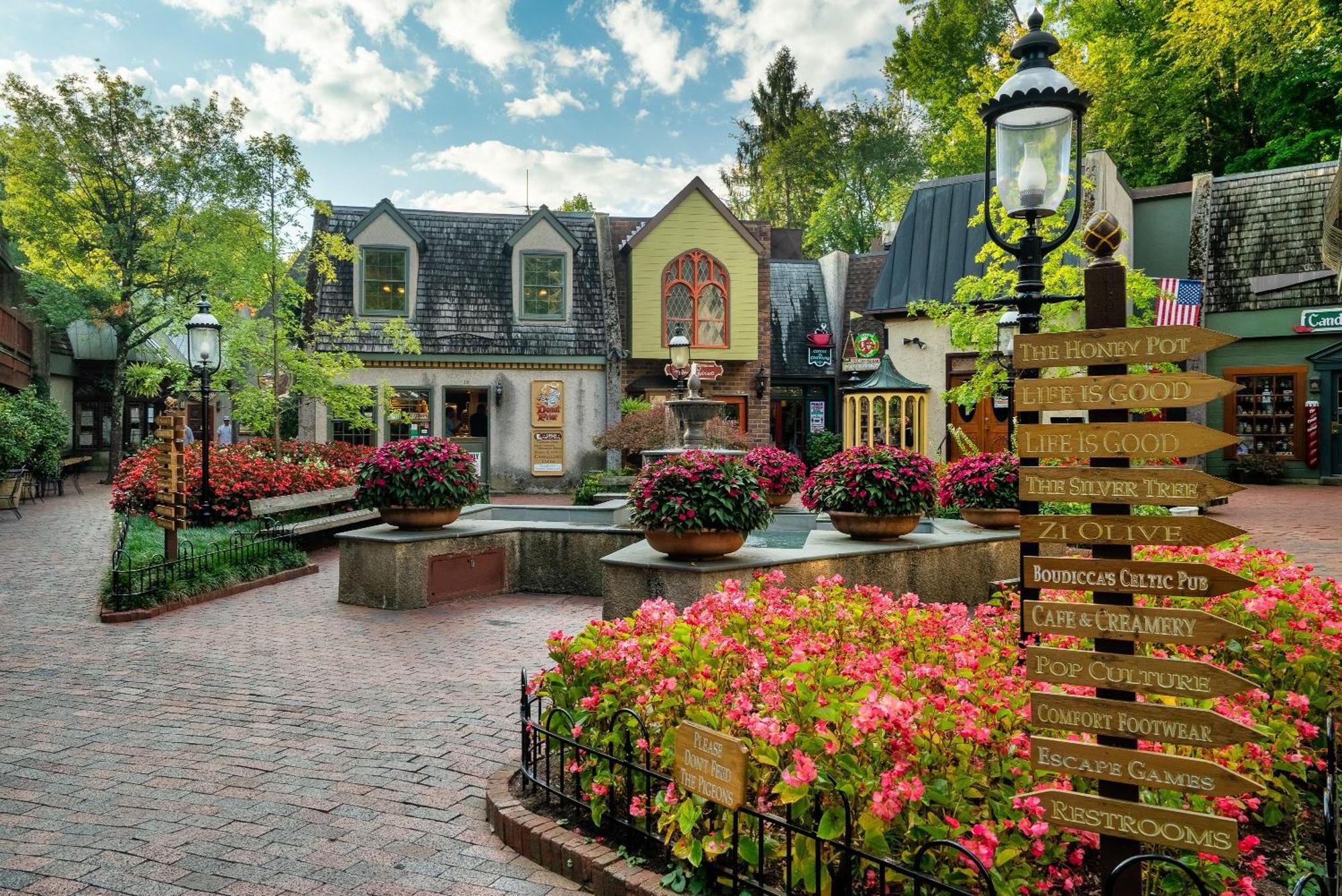 Walk To Anakeesta Romantic 1Br W Fireplace 蓋特林堡 外观 照片